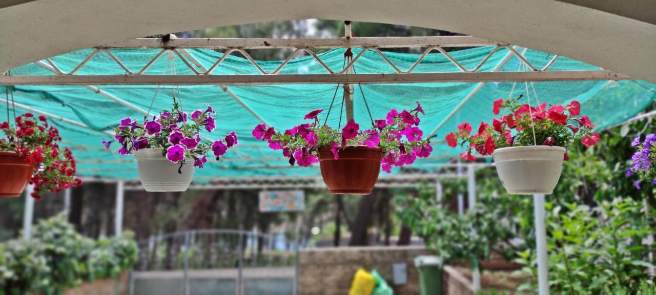 1000 Flowers Apartment